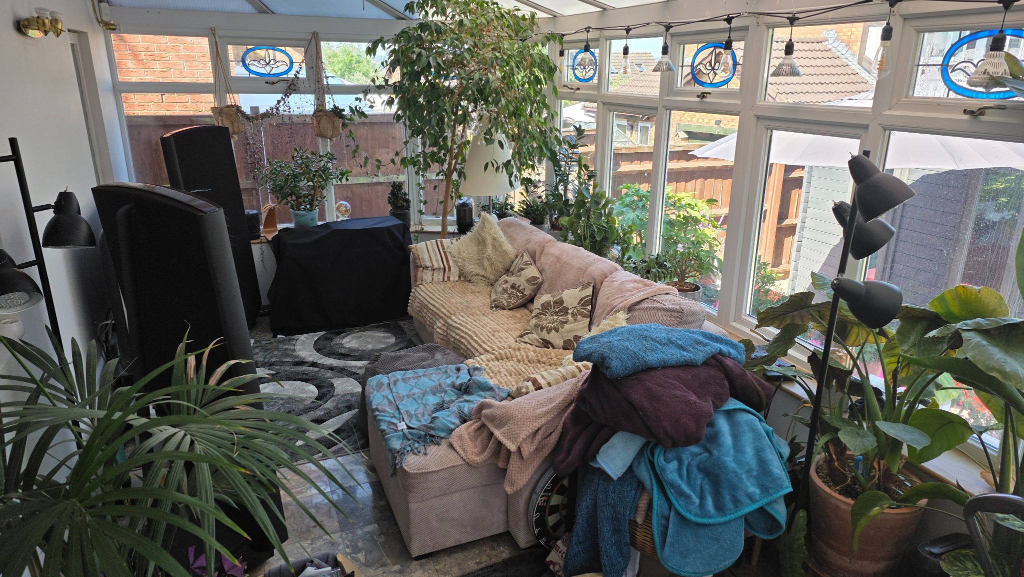 Conservatory with many leafy tropical plants